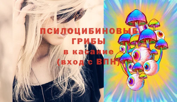 гидропоника Богородицк