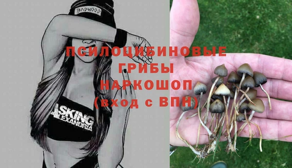 таблы Богородск