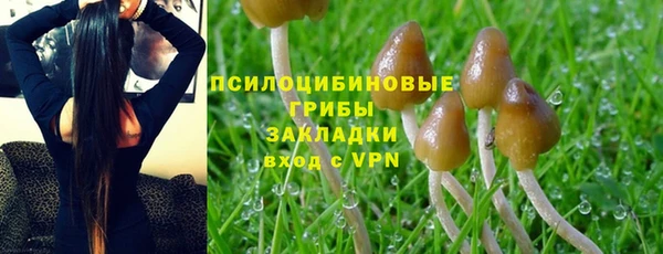 гидропоника Богородицк