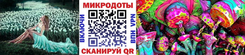 Псилоцибиновые грибы мицелий  Волгореченск 